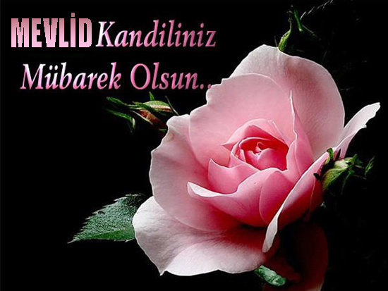 Mevlit Kandiliniz Mübarek Olsun.
