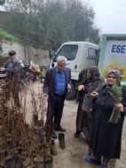 11 milyon ağaç. Bugün fidan, yarın nefes...
