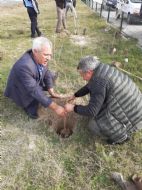 11 milyon ağaç. Bugün fidan, yarın nefes...