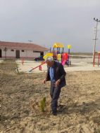 11 milyon ağaç. Bugün fidan, yarın nefes...