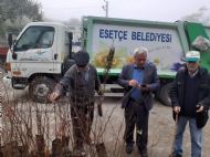 11 milyon ağaç. Bugün fidan, yarın nefes...