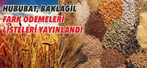 2019 Üretim Sezonu Hububat Baklagil Fark Ödemesi Desteği Askı İcmali