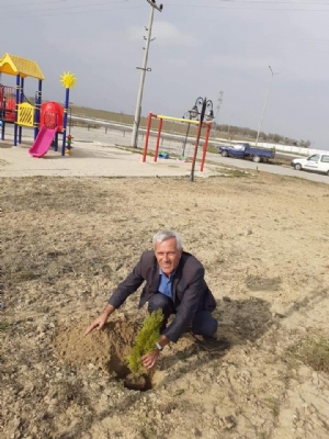 11 milyon ağaç. Bugün fidan, yarın nefes...