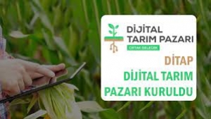Süt Üreticilerinin DİTAP (Dijital Tarım Pazarı)'a Kayıt İşlemleri İle İlgili Duyuru 