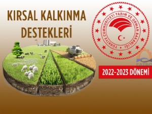 Kırsal Kalkınma Destekleri Kapsamında Tarıma Dayalı Ekonomik Yatırımların Desteklenmesi ve Kırsal Ekonomik Altyapı Yatırımlarının Desteklenmesi