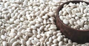 Kuru Fasulye Yetiştiriciliğinin Yaygınlaştırılması Projesi